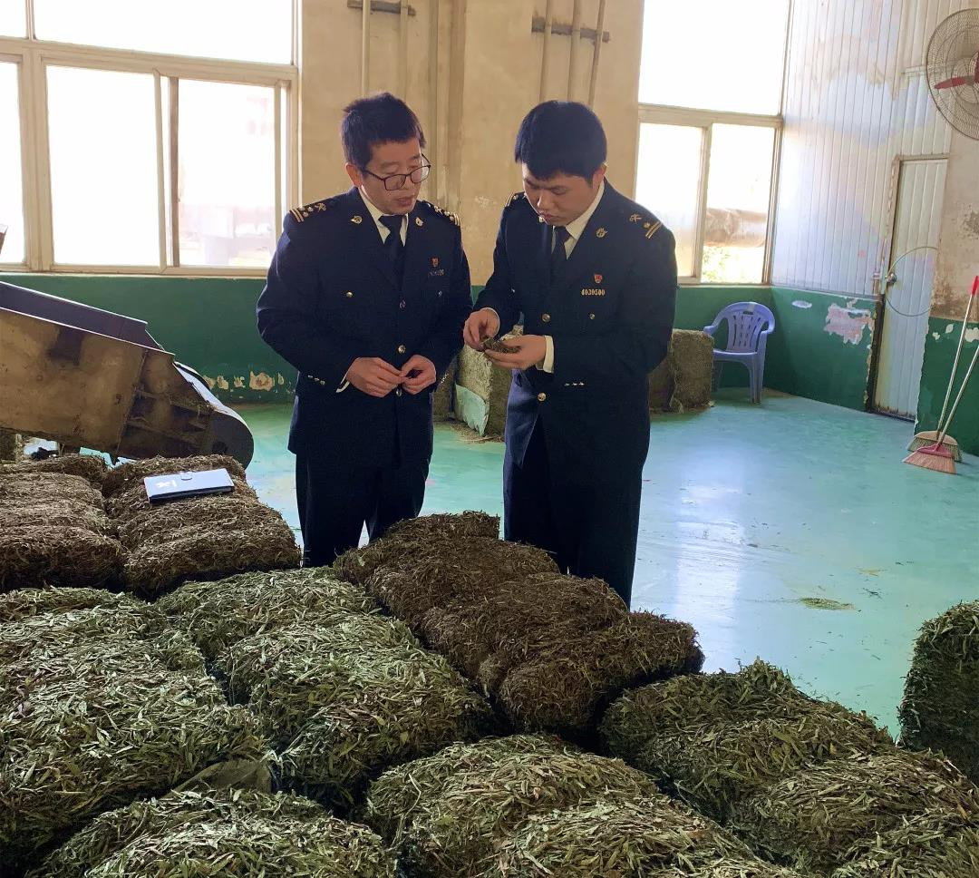 穩(wěn)外貿(mào)在身邊 | 政策落到實(shí)處，百姓甜到心里